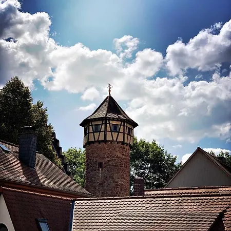 Schwarzer Adler Daire Michelstadt