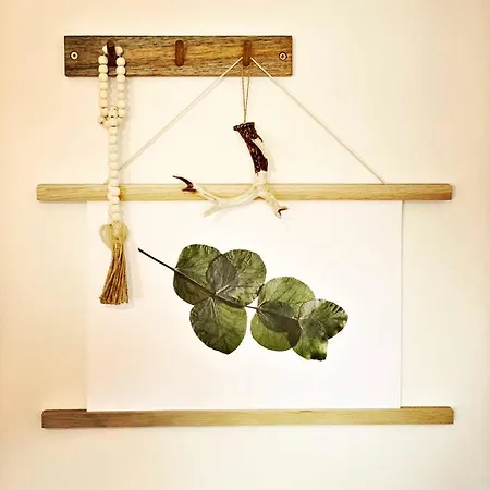 Schwarzer Adler Daire Michelstadt